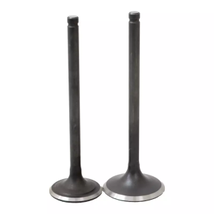 سوپاپ دود و بنزین برند تکنیک مدل CG&CDI-125