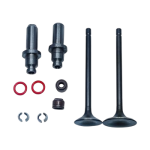 سوپاپ کامل CG200